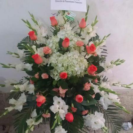 Lagrimas con rosas rosadas