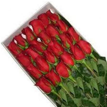 Caja con 24 rosas de cualquier color